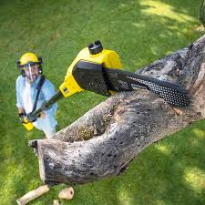 Best Weed Control  in Trenton, IL