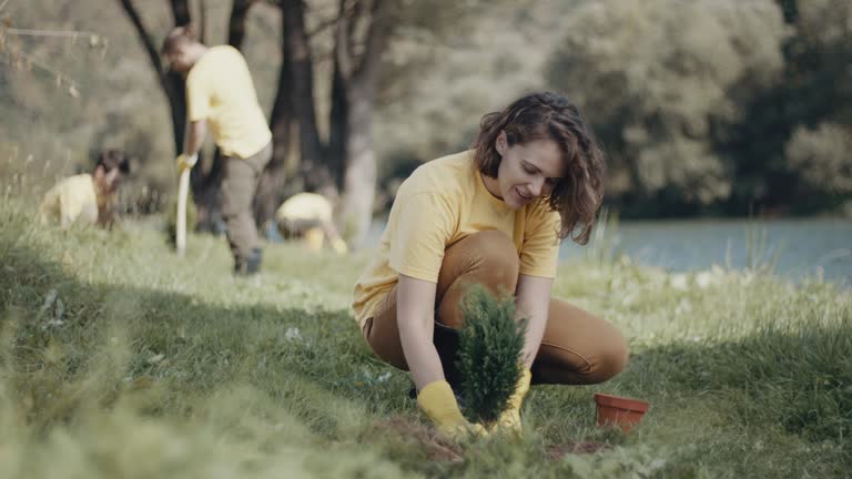 Best Tree Maintenance Programs  in Trenton, IL